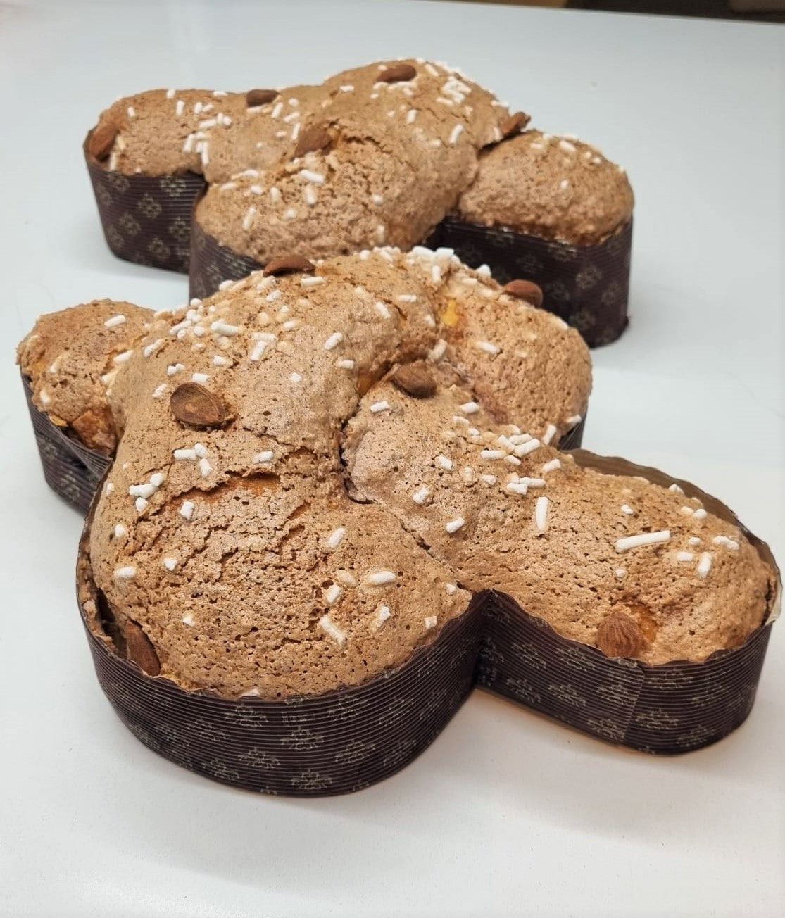 Colomba tradizionale