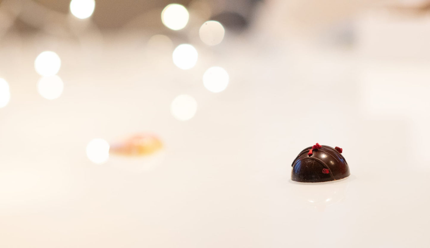 Cioccolatini fondenti ripieni di nocciomiele e nocciola