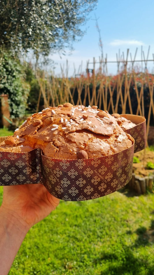 Colomba tradizionale